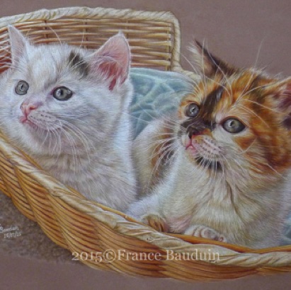 Basket View - 61 hours
Brown Pastelmat Board
13.5" x 19.5"
Highly Commended UKCPS 2016
